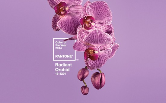 Pantone 2014 Color Of The Year Radiant Orchid