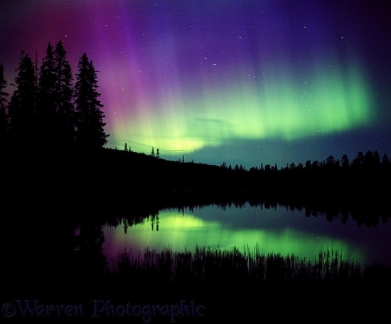 Aurora Borealis