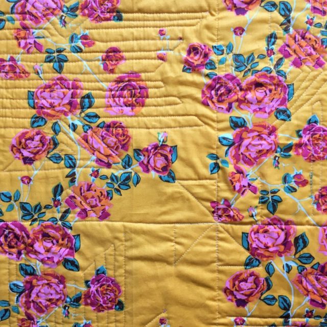 Anna Maria Horner social climber quilting