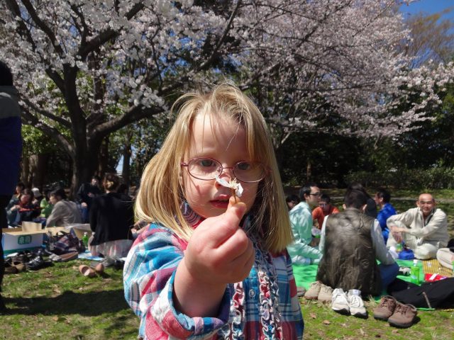 Hanami picnic in Chiba