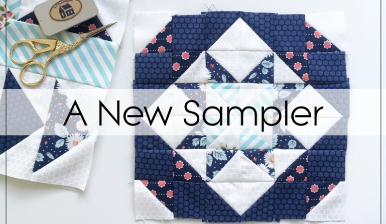 A New Sampler Quilt, Why Not!