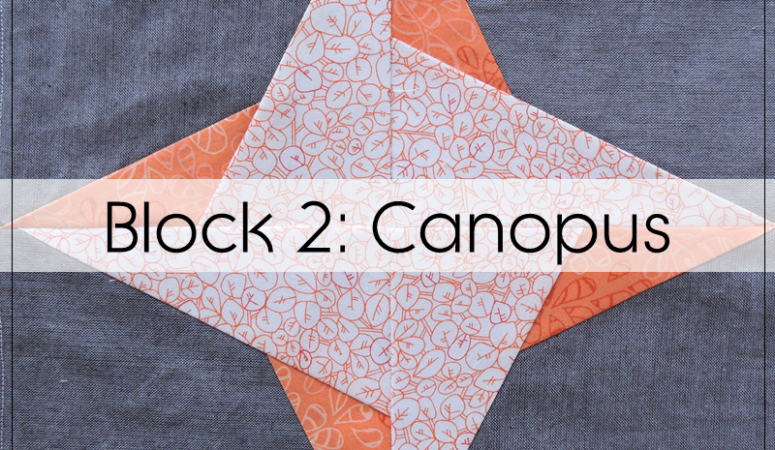 Milky Way Sampler: Block 2 Canopus