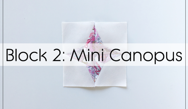 Milky Way Sampler: Mini Canopus