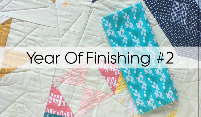 Year Of Finishing: Project 2 – Modern HST Sampler