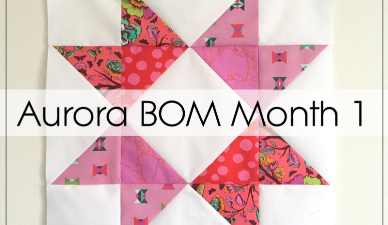 Aurora Sampler Quilt – Month 1