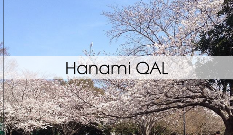 The Hanami QAL – A Virtual Cherry Blossom Picnic